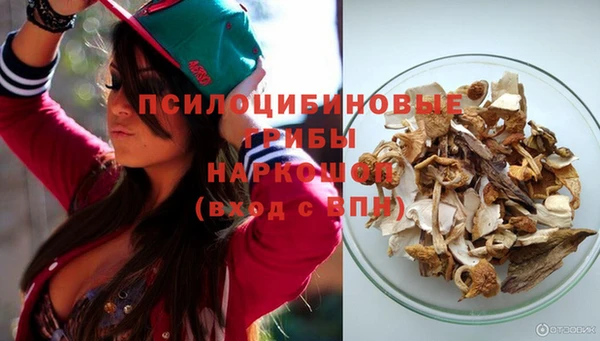 гашик Баксан