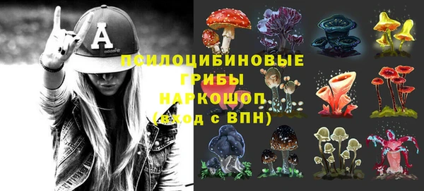 гашик Баксан